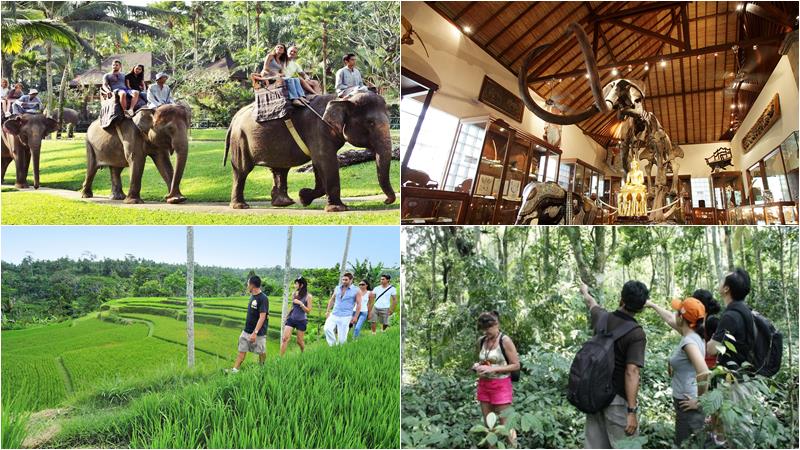 trekking-elephant-ride