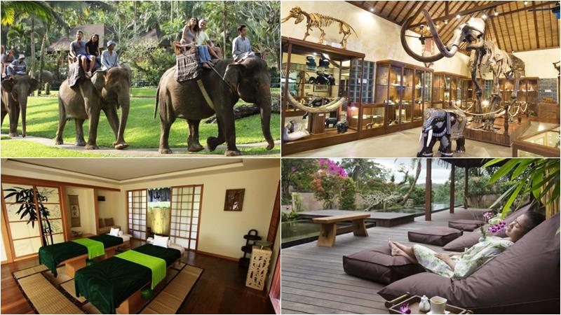elephant-ride-balinese-massage