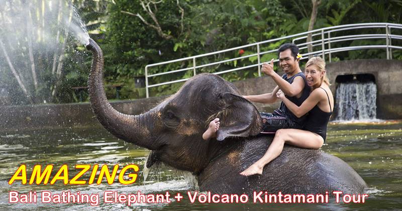 bb-01- bali bathing elephant volcano kintamani tour