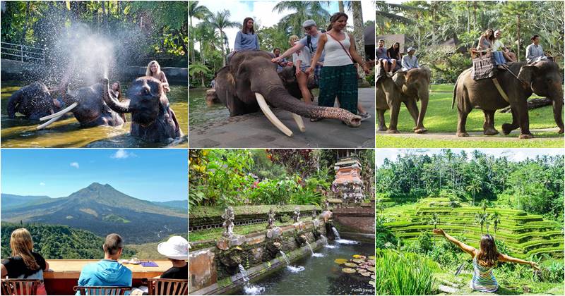 elephant Bath Bali with our Bali Cab driver and experience tour at mason elephant park