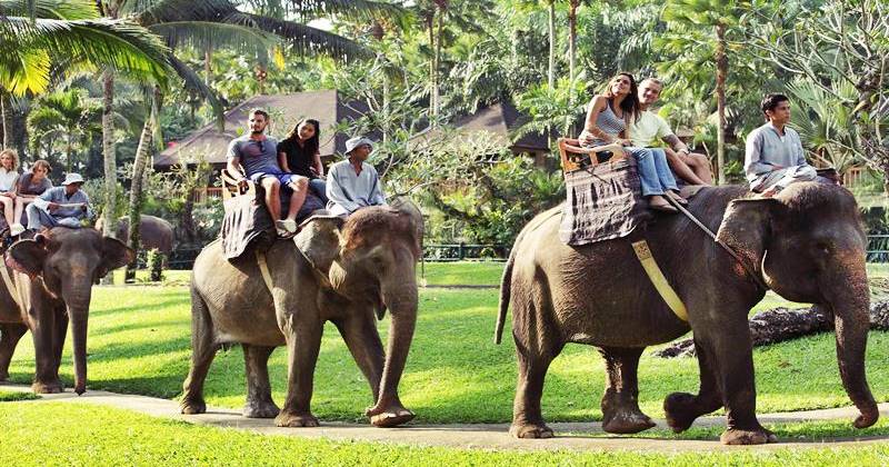 elephant ride 2 Elephant safari ride