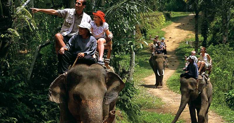 elephant ride 4