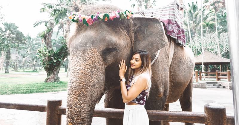 photo with elephant 1