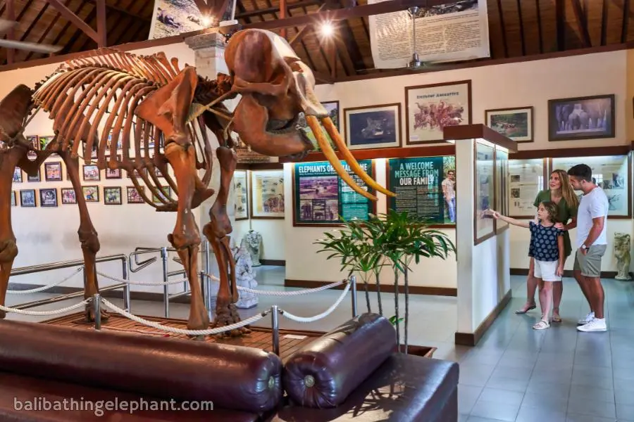 Discovery information Centre Discovery Information Centre at Mason Elephant Park Bali