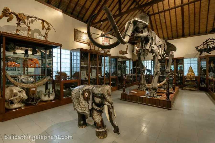 Elephant Lodge Museum Ubud