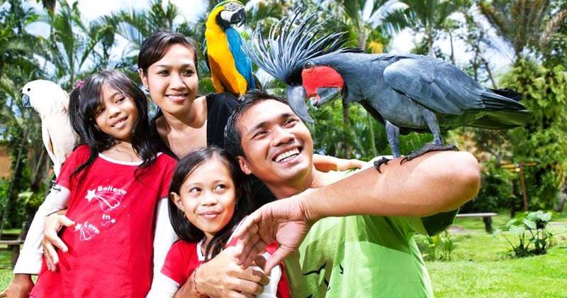 bali-bird-park-ubud bali-bird-park-ubud