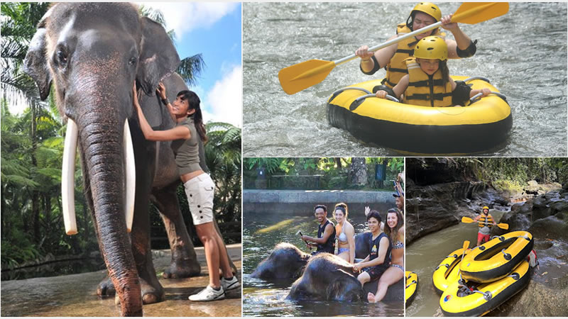 bat28-bathing-elephant-wos-tubing
