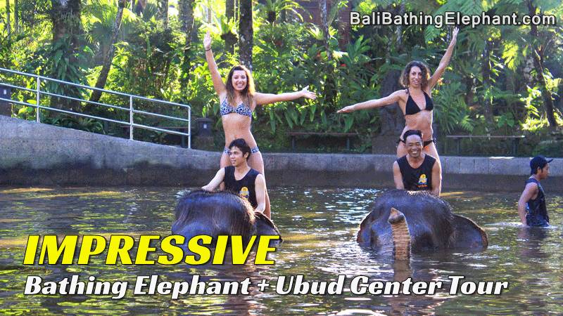 bb-04-elephant-bathing-bali