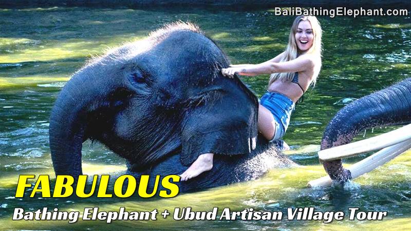 bb-05-elephant-bathing-bali