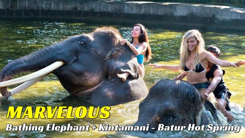 bb-06-elephant-bathing