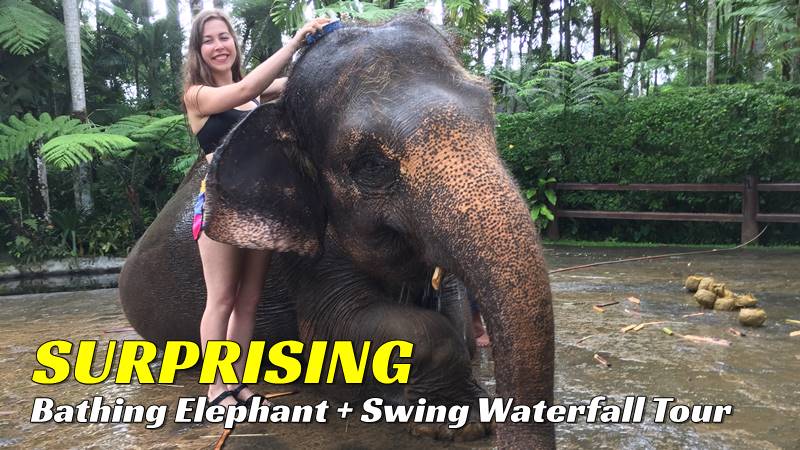 bb-07-bali-bathing-elephant
