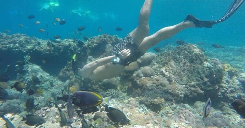 blue-lagoon-snorkeling-4 blue-lagoon-snorkeling-4