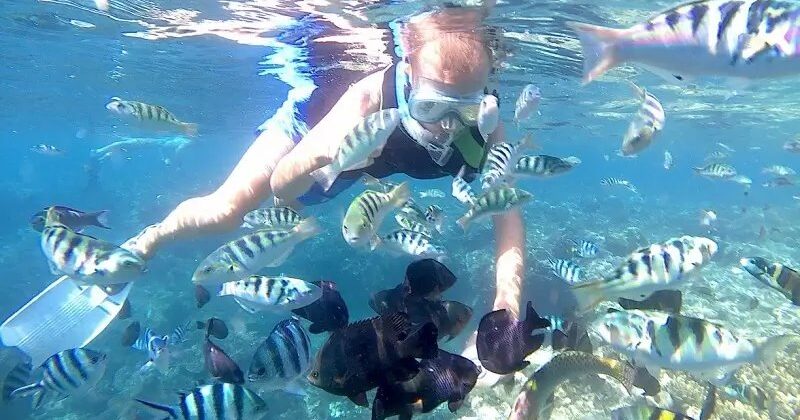 blue-lagoon-snorkeling blue-lagoon-snorkeling