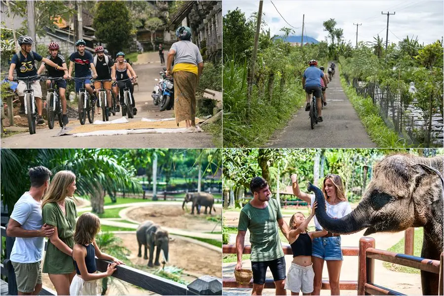 Cycle downhill from Kintamani through local villages, then enjoy lunch and an elephant encounter at Mason Elephant Park!