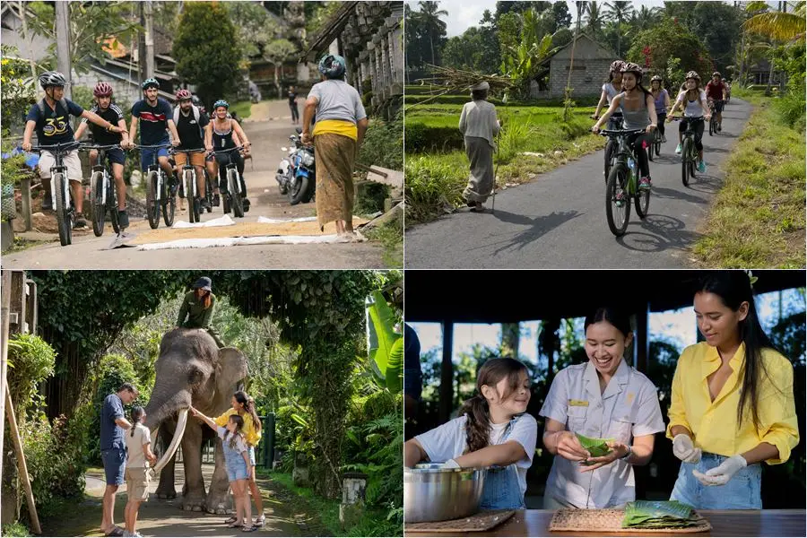 Cycle downhill from Kintamani through rice terraces, then walk beside rescued elephants on a guided wellness trek. Lunch & transfers included.