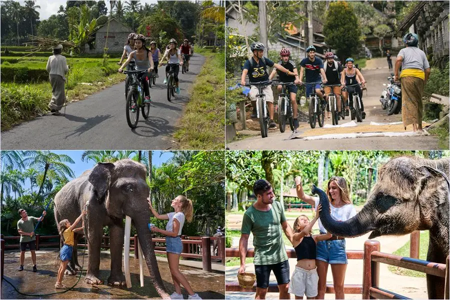 Cycle downhill from Kintamani, lunch at Koko Bambu, then wade into the lake to wash elephants at Mason Elephant Park.