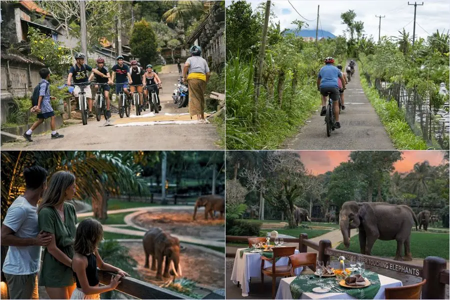 Experience scenic afternoon cycling in Kintamani followed by a sunset elephant encounter and gourmet dinner at Mason Elephant Park on this unforgettable Bali tour.