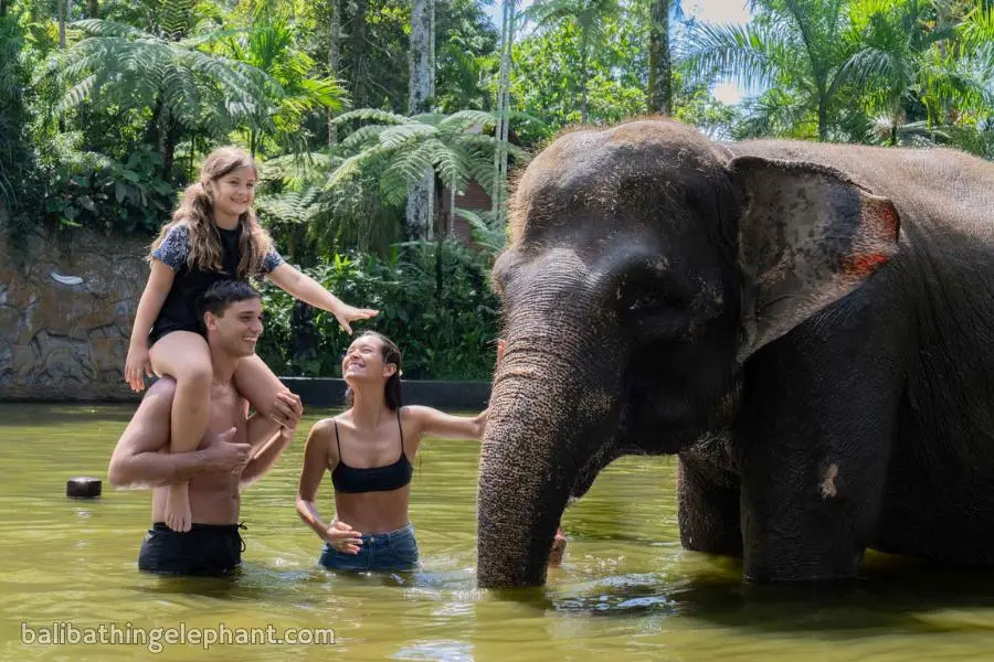 Elephant lake bathing experience in Bali Elephant lake bathing experience