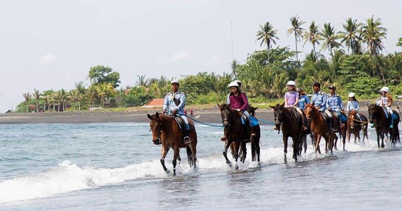 horse-ride-bali