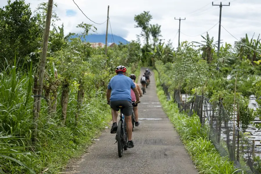 mason-mountain-cycling-tour