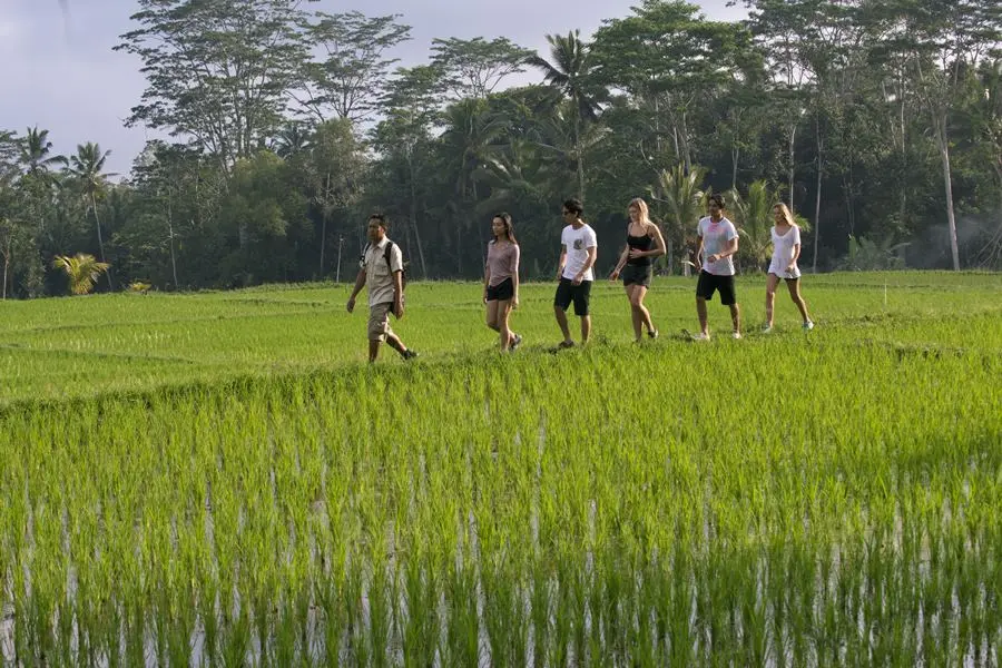mason-tropical-trekking-tour