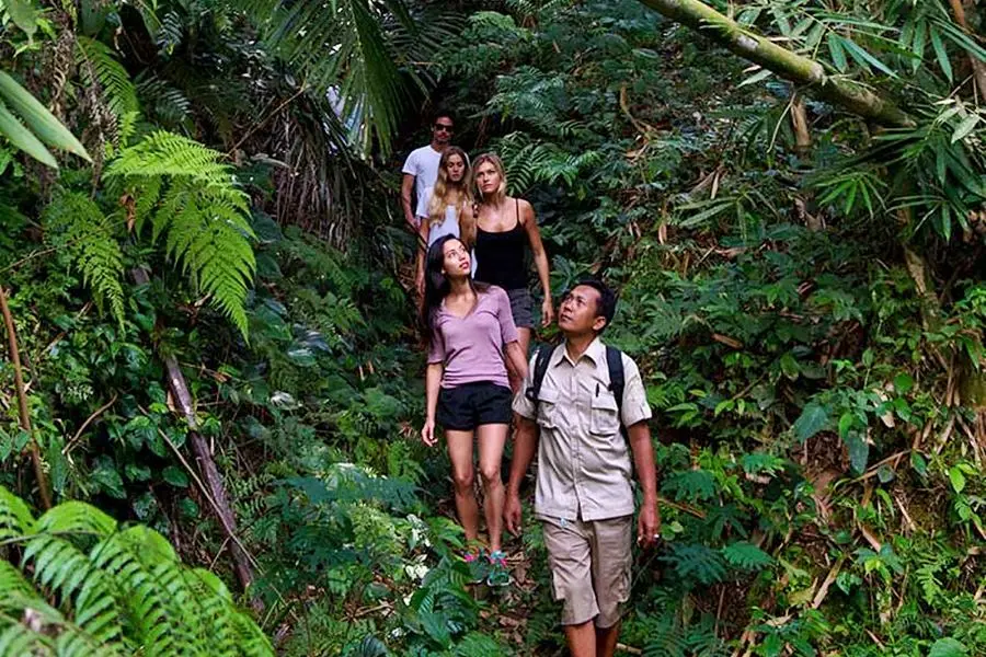 mason-tropical-trekking