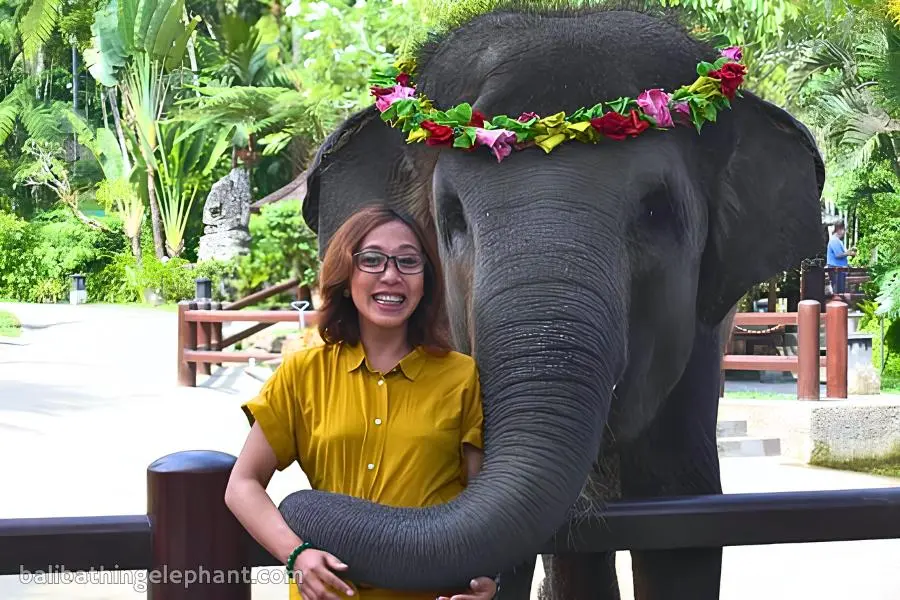 Photo experience with elephant at Mason Elephant Park Bali Photo experience with elephant