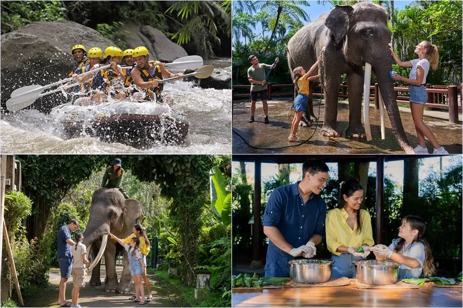 Raft Bali's white water rapids, then walk beside rescued elephants on a guided wellness trek. Lunch, gear & hotel transfers included. Book today.