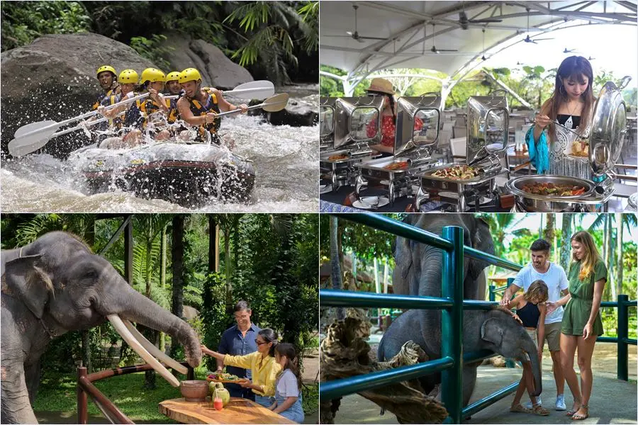 Experience the ultimate Bali adventure! Conquered tropical river rapids, then relax with a gourmet picnic lunch next to rescued Sumatran elephants in Taro.