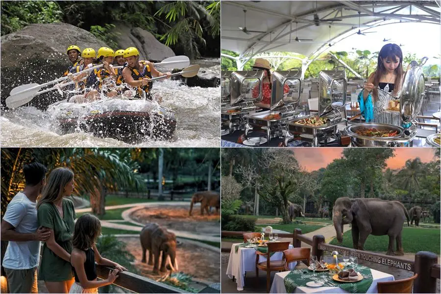 Enjoy an afternoon rafting adventure followed by an exclusive sunset elephant experience and a delicious dinner at Mason Elephant Park.