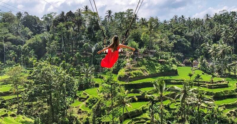 swing-tegalalang Experience Swing activities around Tegalalang