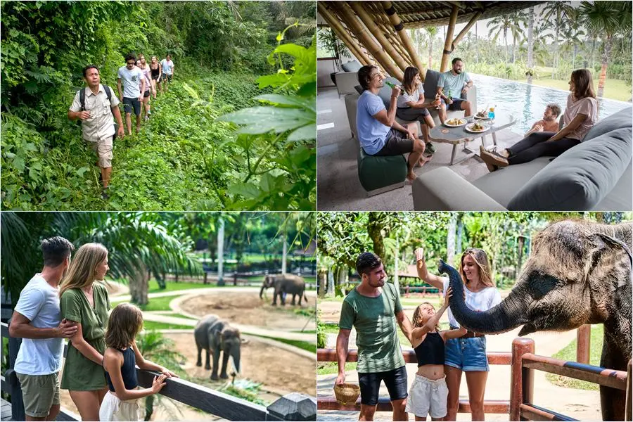 Experience the real Bali! Enjoy a 5-hour guided jungle and temple trek through Taro, lunch at Koko Bambu Restaurant, then visit Mason Elephant Park.