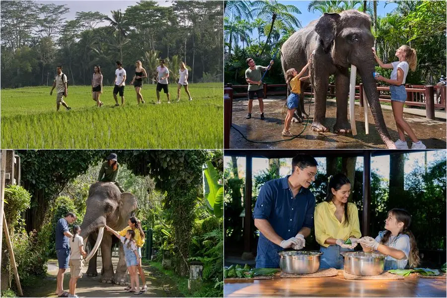 Guided jungle trekking, gourmet lunch, and an ethical elephant wellness walk—Bali's ultimate eco-adventure.
