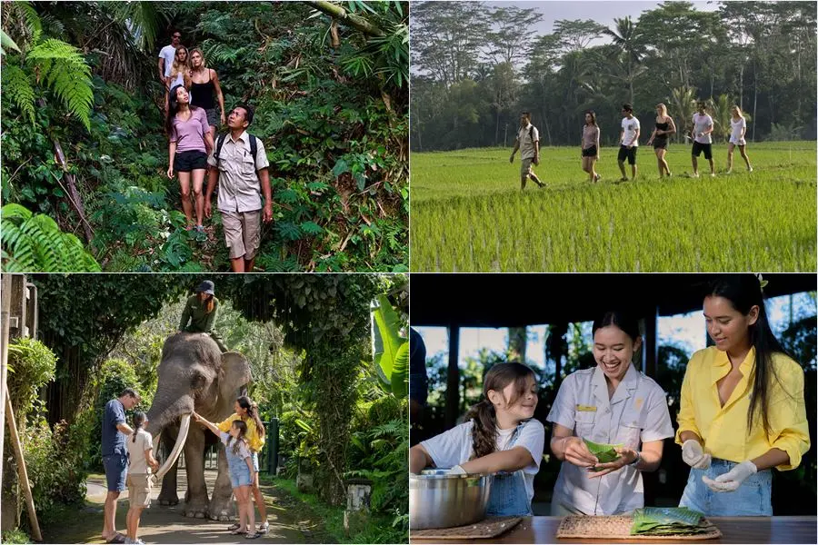 Guided jungle trekking, gourmet lunch, and an ethical elephant wellness walk—Bali's ultimate eco-adventure.