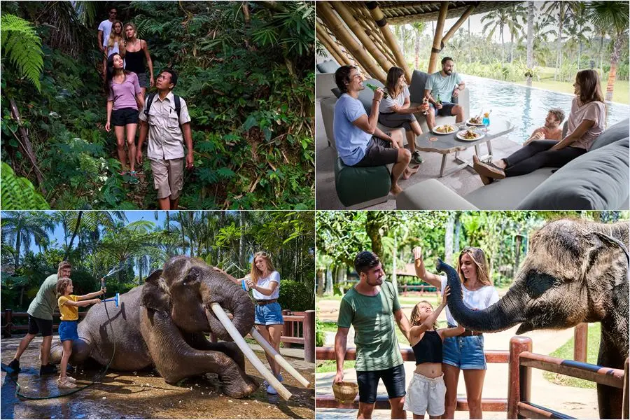 Enjoy a 5-hour jungle trek through Taro, lunch at Koko Bambu, then wade into the lake to wash elephants at Mason Elephant Park!