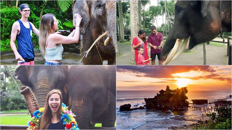 web-08-elephant-washing-tanah-lot