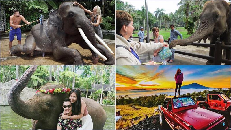 web-14-elephant-washing-batur-jeep