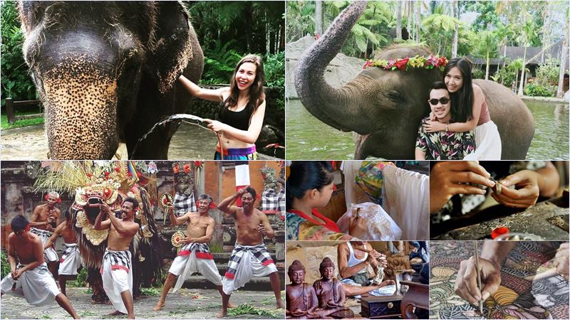 web-20-elephant-washing-barong