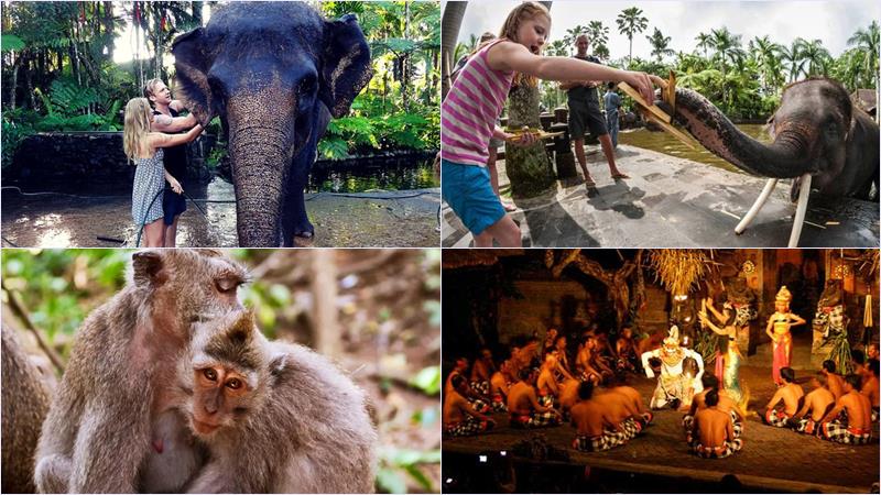 web-21-elephant-washing-kecak